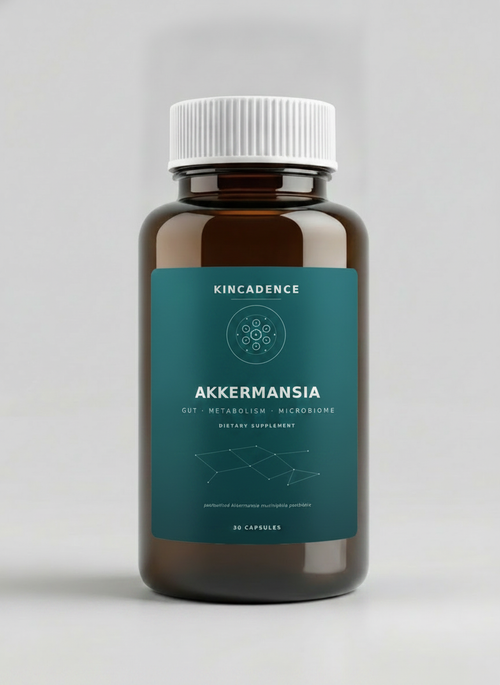 Kincadence Akkermansia — Daily Metabolic & Gut Support