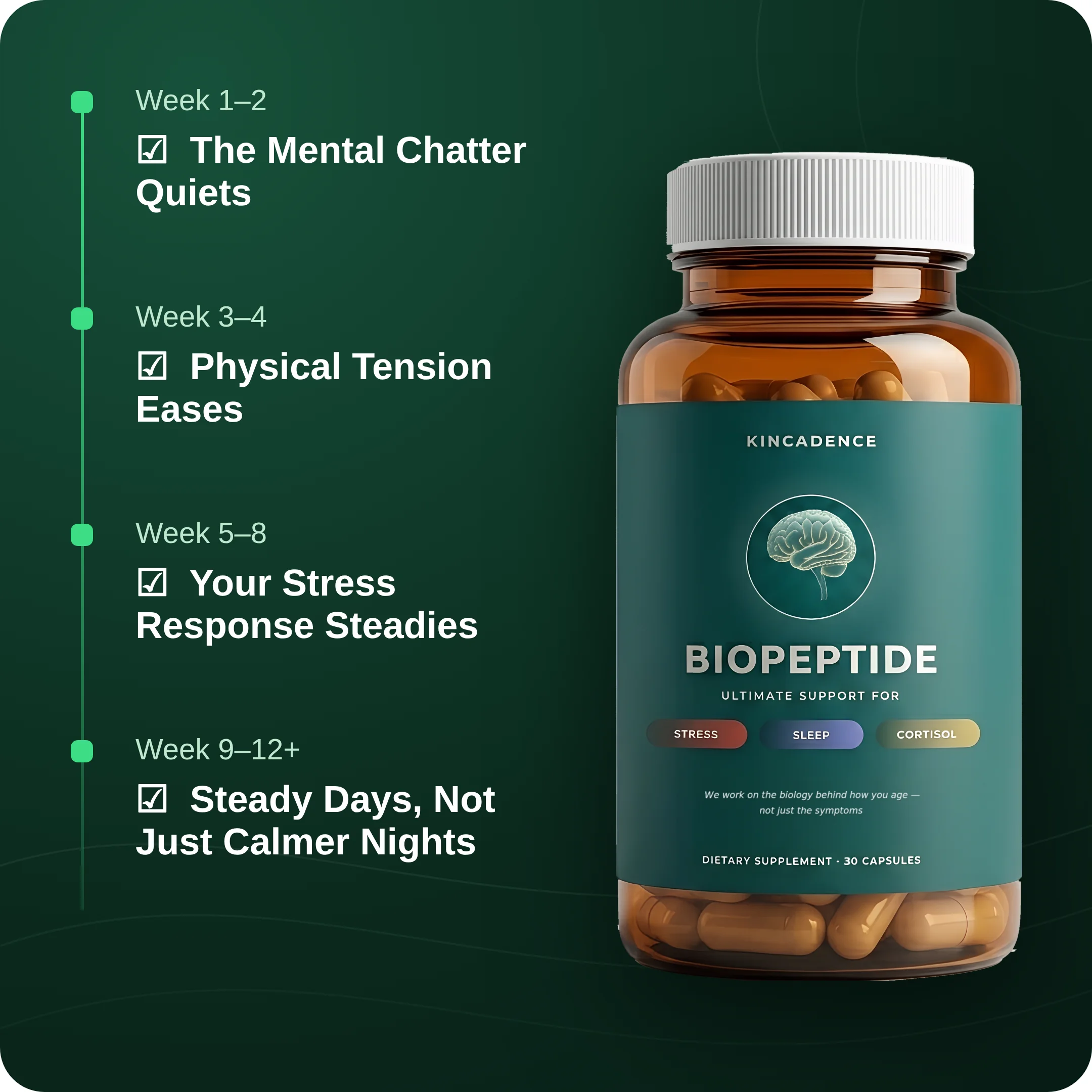 Kincadence Biopeptide